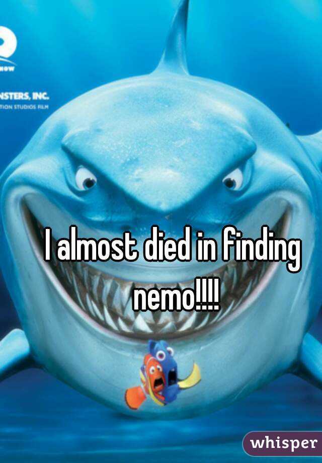 I almost died in finding nemo!!!!