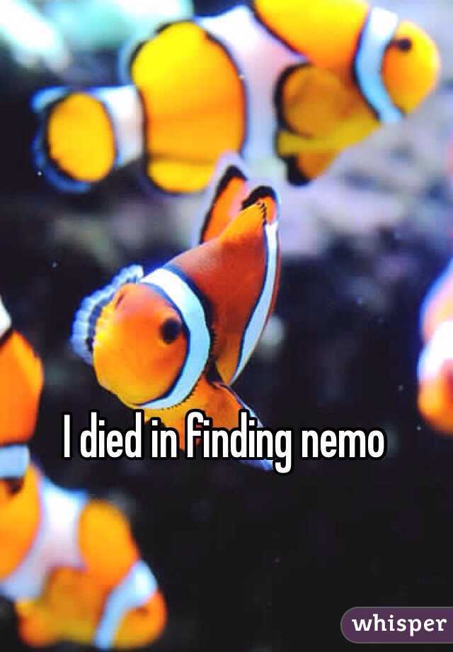 I died in finding nemo 