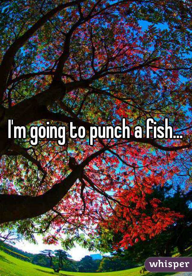 I'm going to punch a fish...