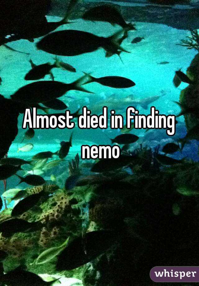 Almost died in finding nemo