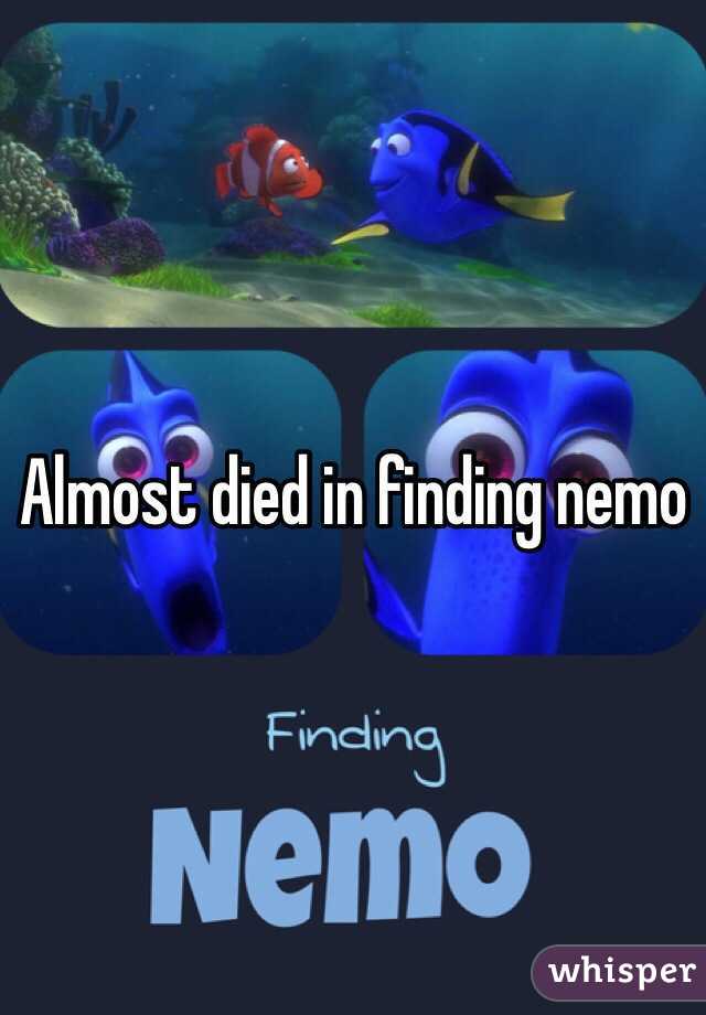 Almost died in finding nemo