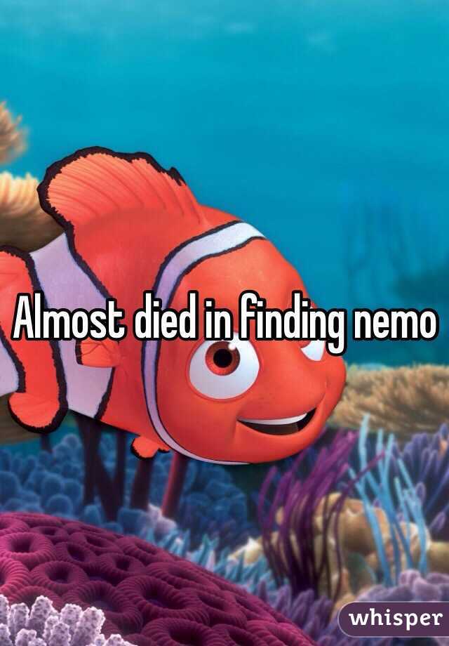 Almost died in finding nemo 