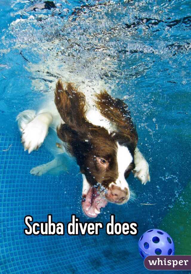 Scuba diver does