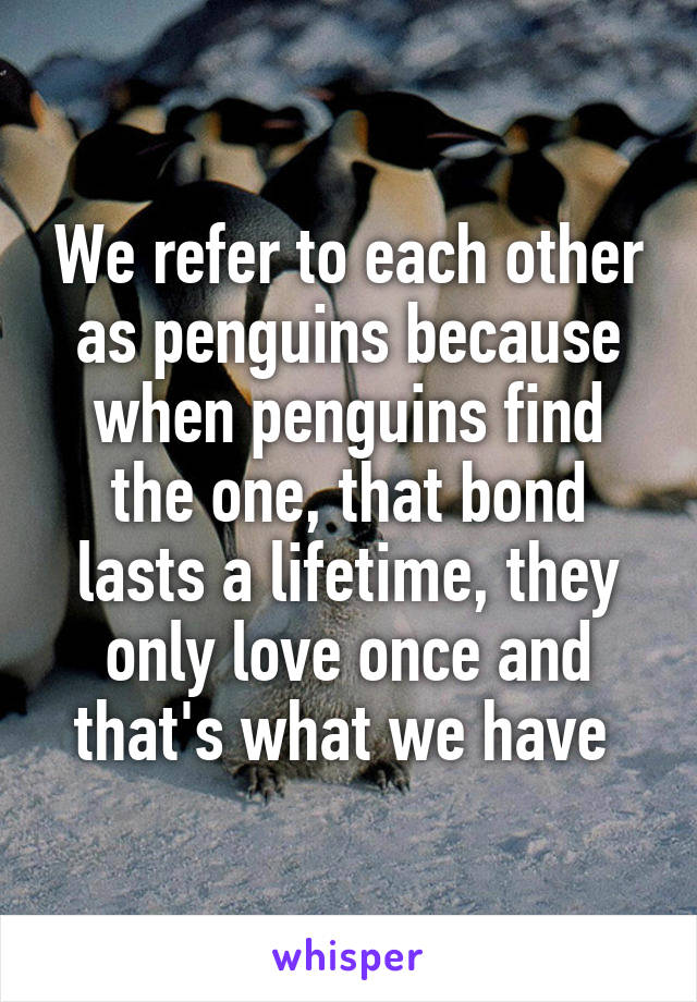 We refer to each other as penguins because when penguins find the one, that bond lasts a lifetime, they only love once and that's what we have 