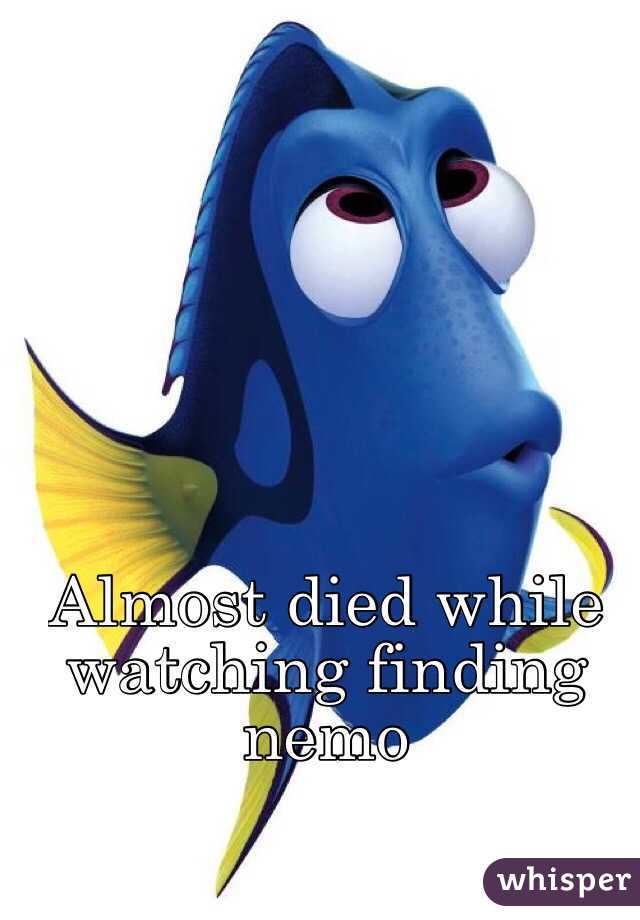 Almost died while watching finding nemo