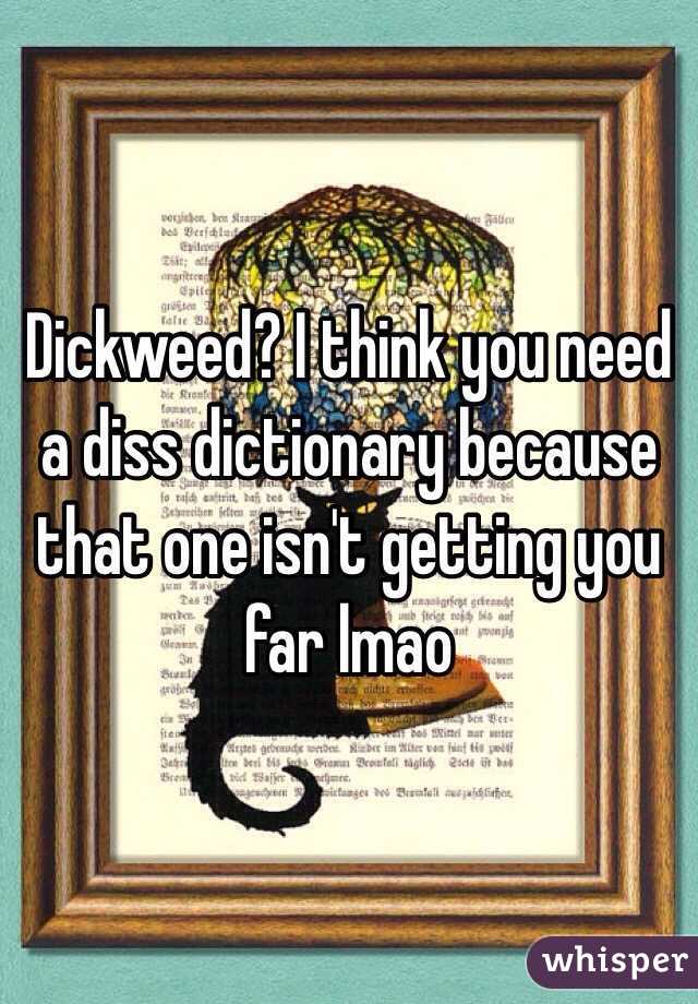 Dickweed? I think you need a diss dictionary because that one isn't getting you far lmao 