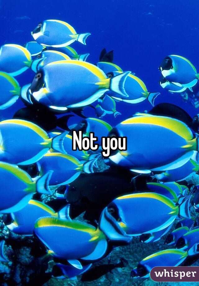 Not you