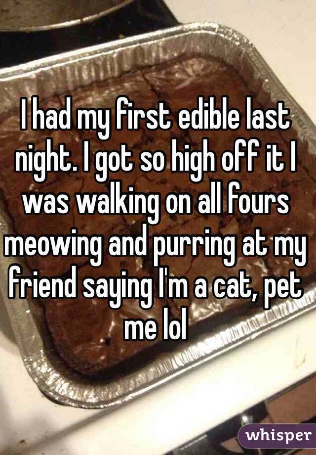 I had my first edible last night. I got so high off it I was walking on all fours meowing and purring at my friend saying I'm a cat, pet me lol
