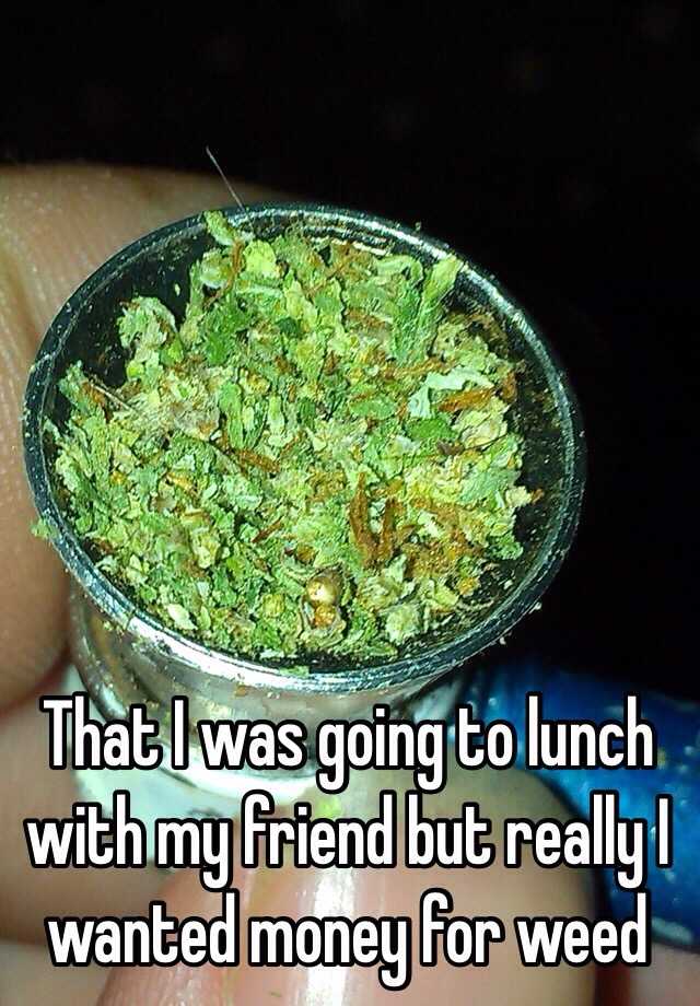 that-i-was-going-to-lunch-with-my-friend-but-really-i-wanted-money-for-weed