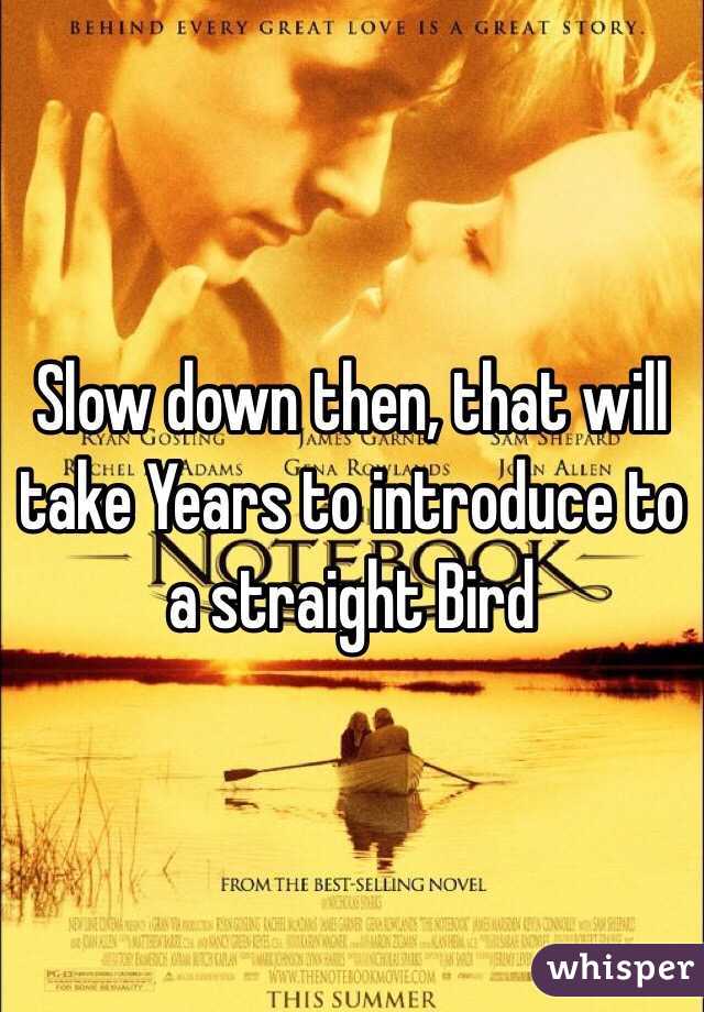 Slow down then, that will take Years to introduce to a straight Bird