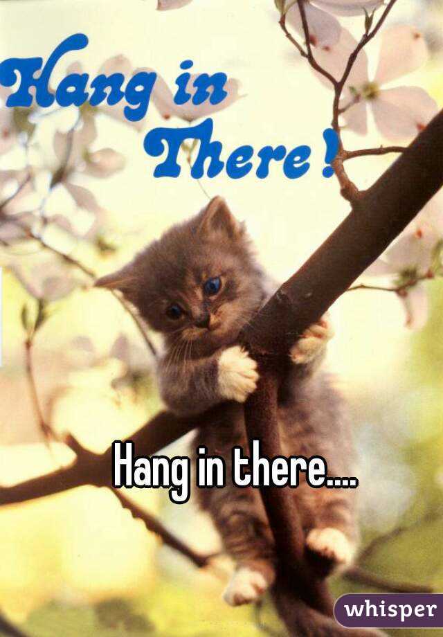 Hang in there....