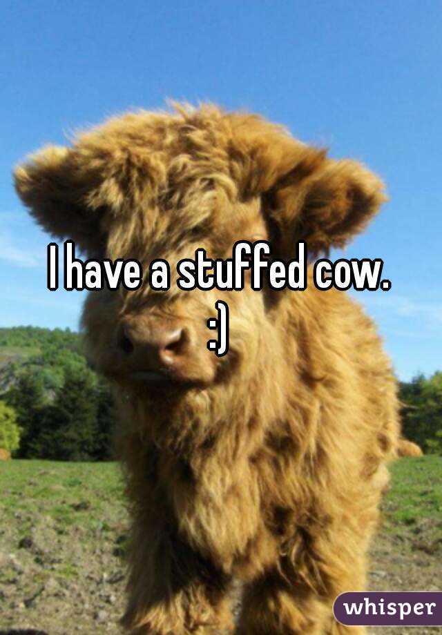 I have a stuffed cow.
:)