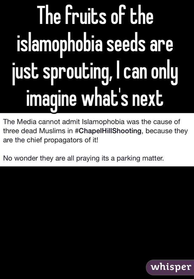 The fruits of the islamophobia seeds are just sprouting, I can only imagine what's next 