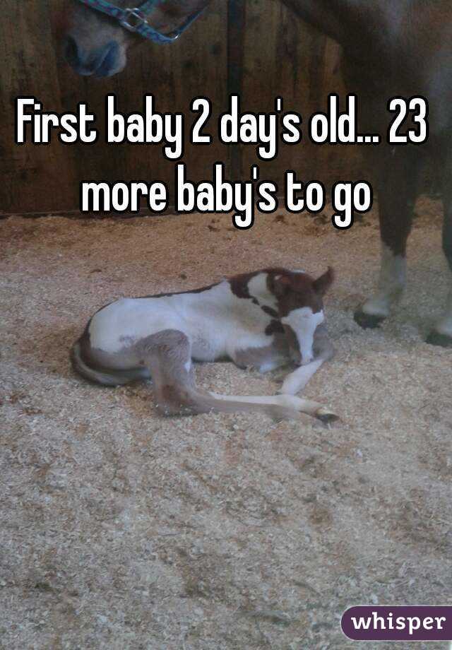 First baby 2 day's old... 23 more baby's to go
