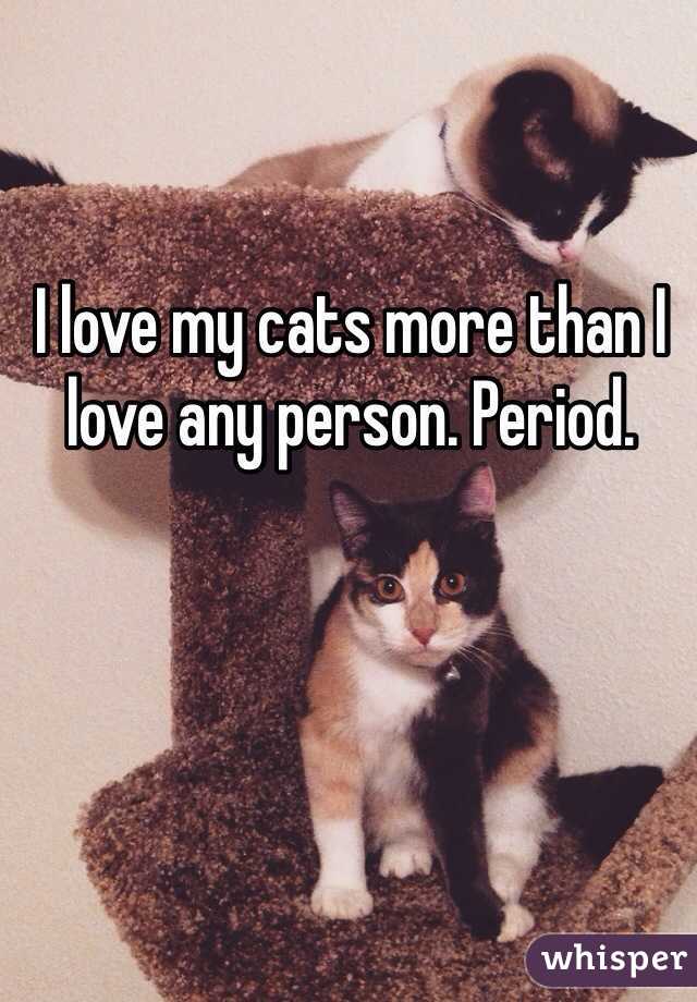 I love my cats more than I love any person. Period. 