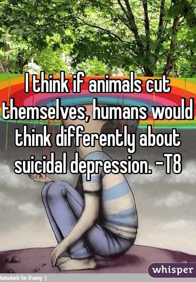 I think if animals cut themselves, humans would think differently about suicidal depression. -T8