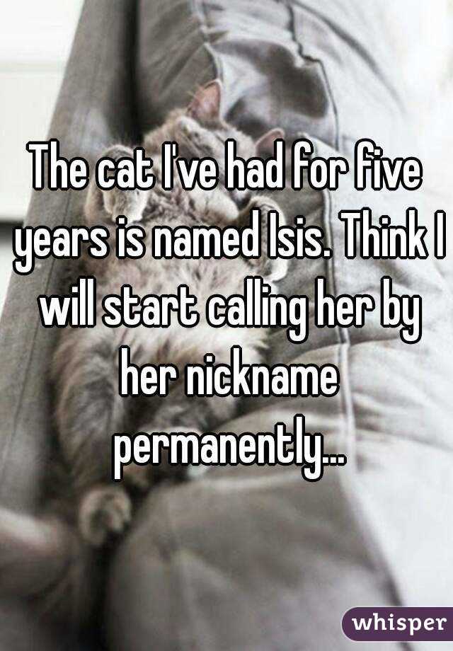 The cat I've had for five years is named Isis. Think I will start calling her by her nickname permanently...