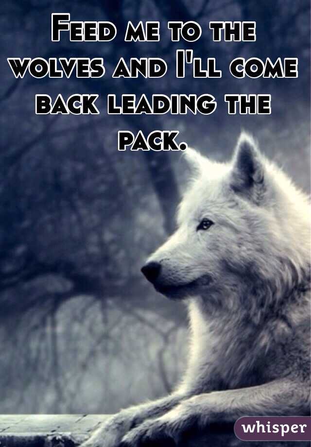 Feed me to the wolves and I'll come back leading the pack.