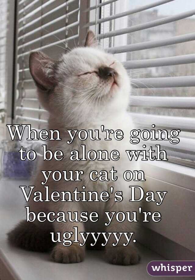 When you're going to be alone with your cat on Valentine's Day because you're uglyyyyy.