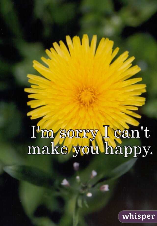 I'm sorry I can't make you happy. 