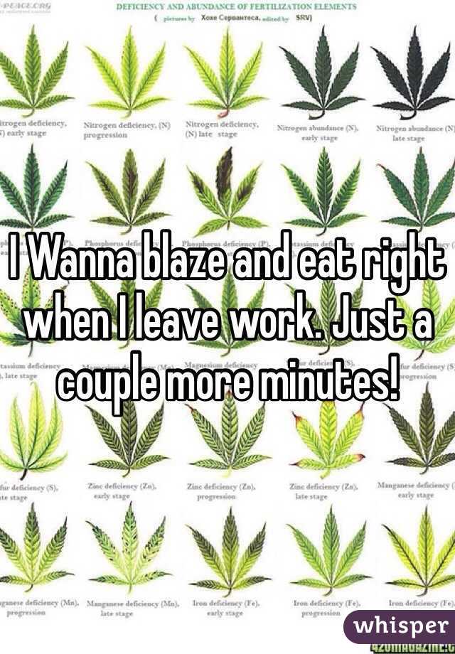 I Wanna blaze and eat right when I leave work. Just a couple more minutes! 