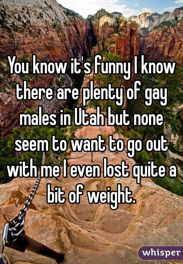 You know it's funny I know there are plenty of gay males in Utah but none seem to want to go out with me I even lost quite a bit of weight. 