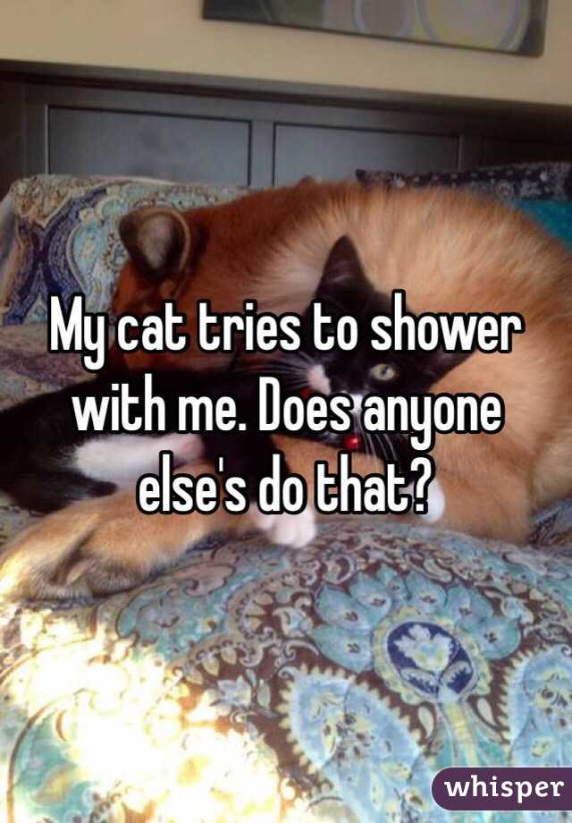 My cat tries to shower with me. Does anyone else's do that? 