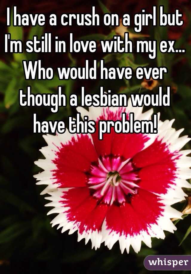 I have a crush on a girl but I'm still in love with my ex... 
Who would have ever though a lesbian would have this problem!