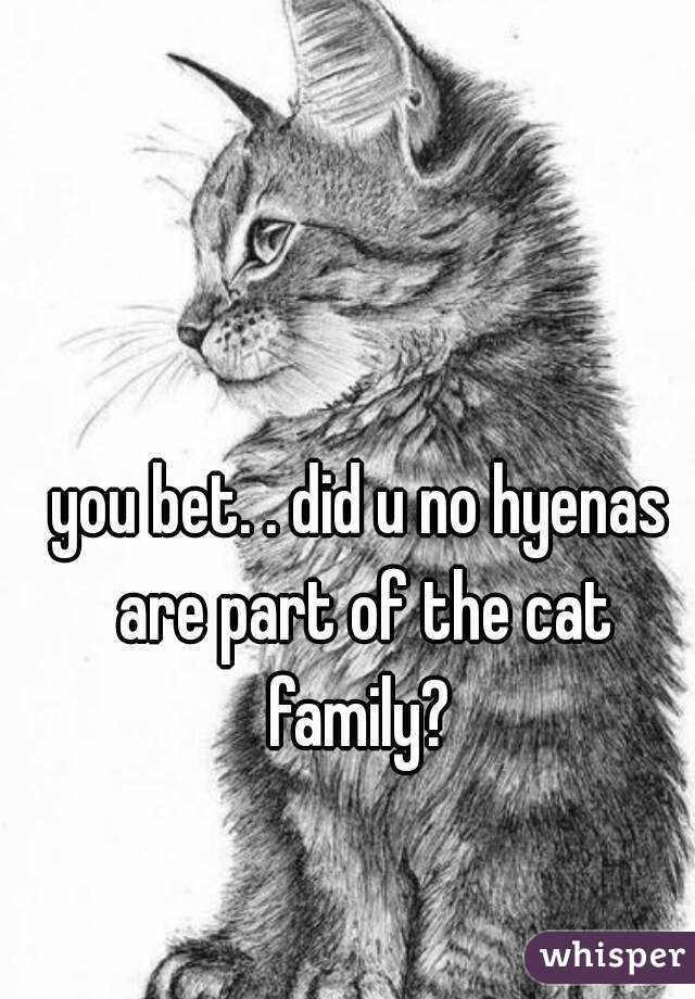 you bet. . did u no hyenas are part of the cat family? 