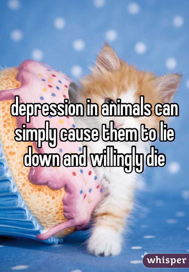 depression in animals can simply cause them to lie down and willingly die