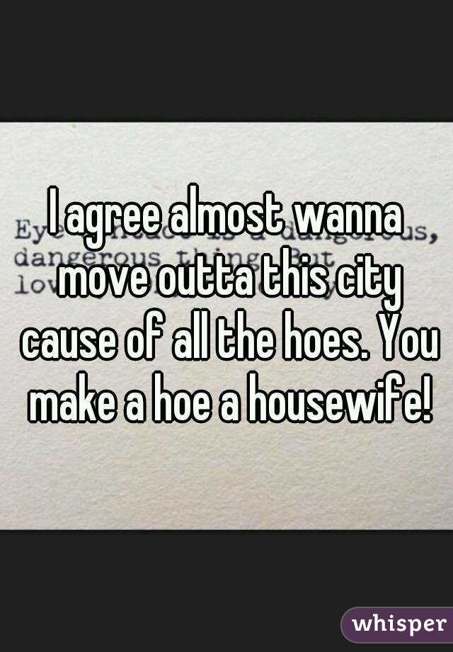 I agree almost wanna move outta this city cause of all the hoes. You make a hoe a housewife!