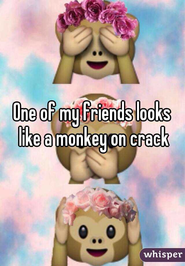 One of my friends looks like a monkey on crack