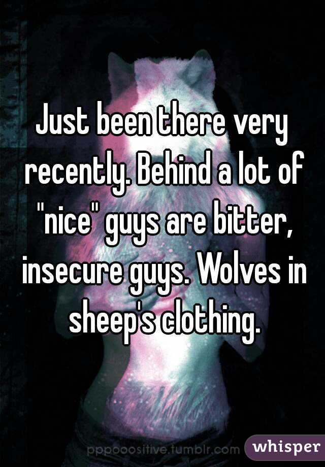 Just been there very recently. Behind a lot of "nice" guys are bitter, insecure guys. Wolves in sheep's clothing.