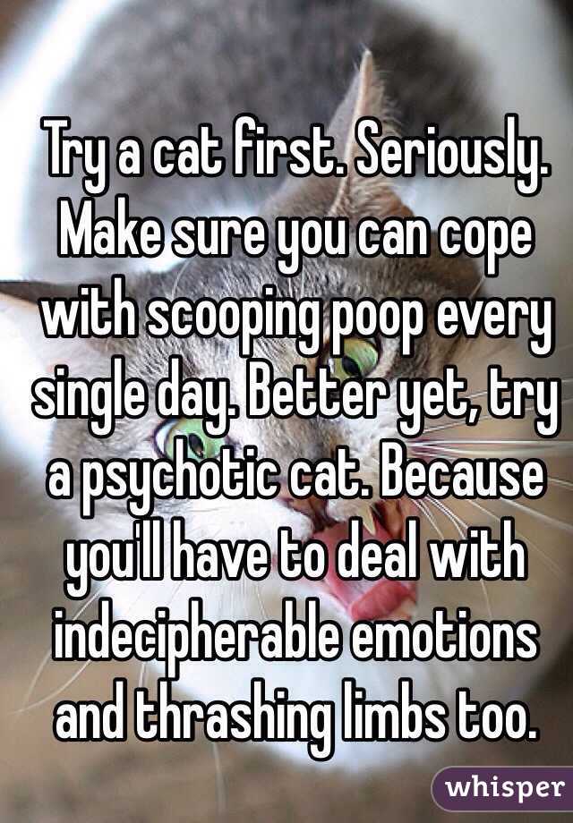 Try a cat first. Seriously. Make sure you can cope with scooping poop every single day. Better yet, try a psychotic cat. Because you'll have to deal with indecipherable emotions and thrashing limbs too. 