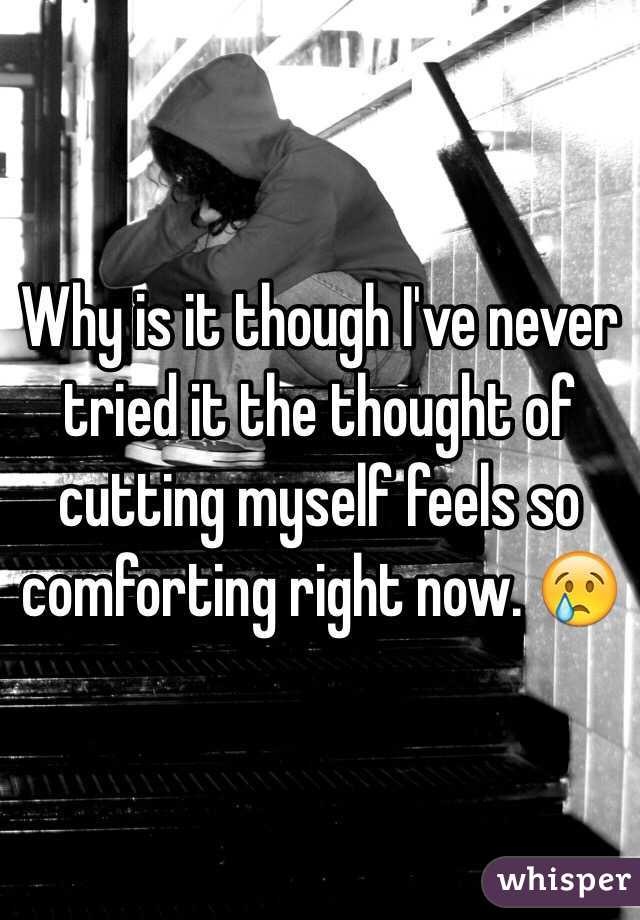 Why is it though I've never tried it the thought of cutting myself feels so comforting right now. 😢