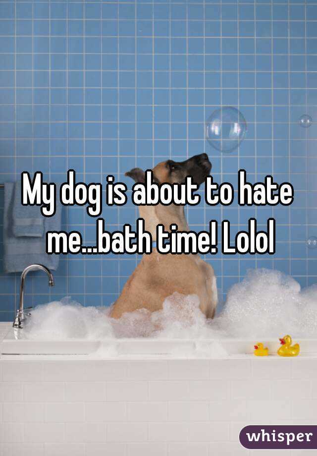 My dog is about to hate me...bath time! Lolol