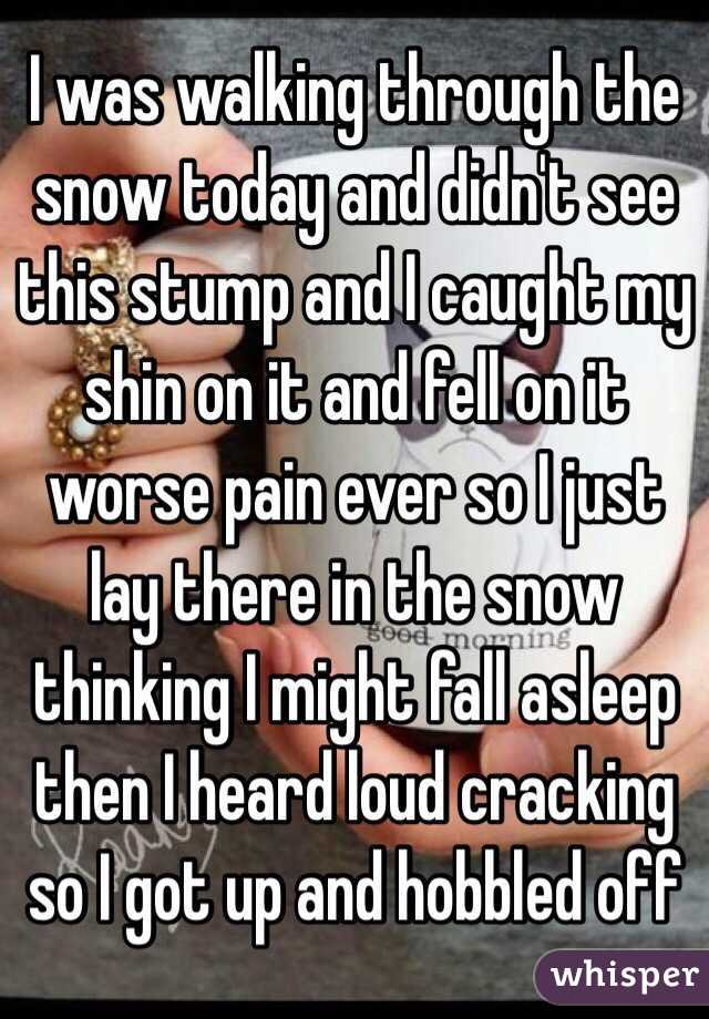 I was walking through the snow today and didn't see this stump and I caught my shin on it and fell on it worse pain ever so I just lay there in the snow thinking I might fall asleep  then I heard loud cracking so I got up and hobbled off 
