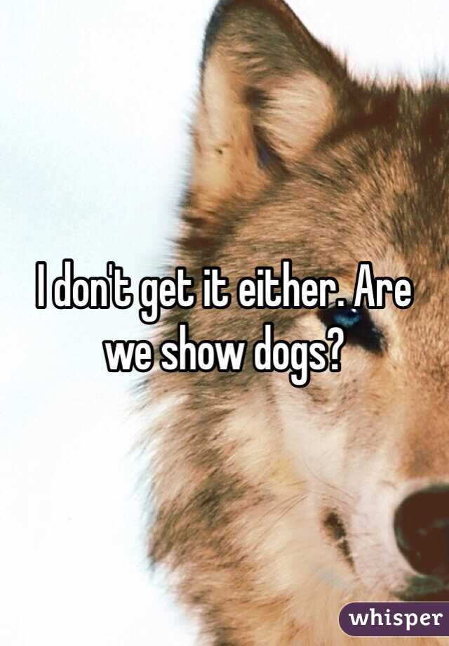 I don't get it either. Are we show dogs?