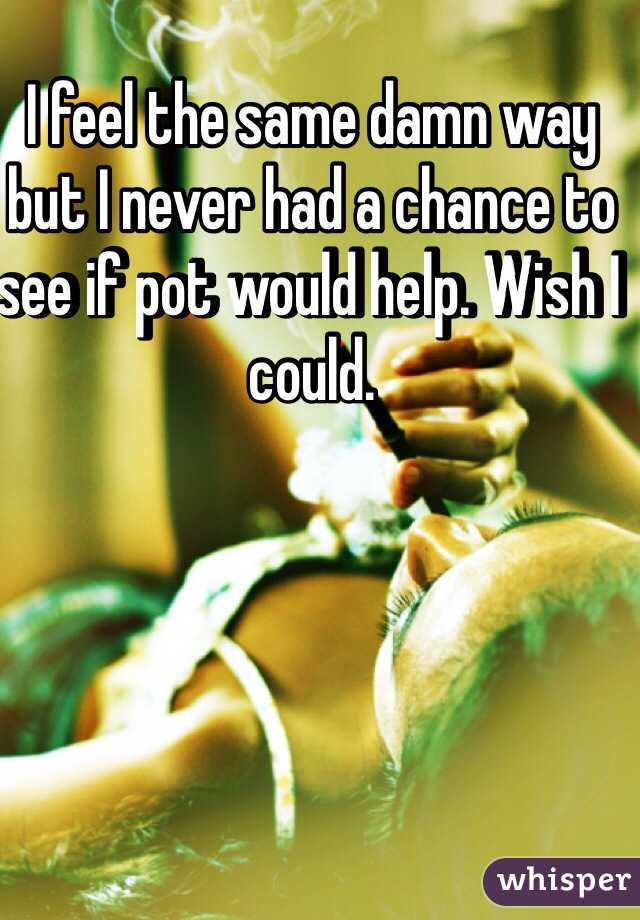 I feel the same damn way but I never had a chance to see if pot would help. Wish I could.