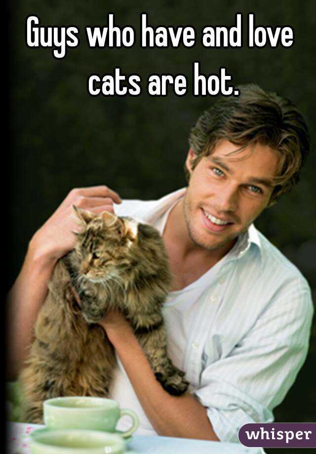 Guys who have and love cats are hot.