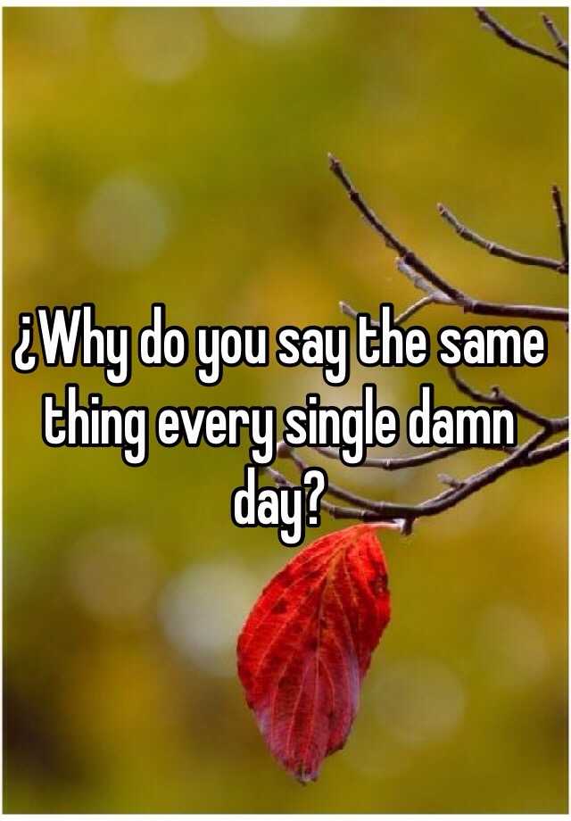 why-do-you-say-the-same-thing-every-single-damn-day