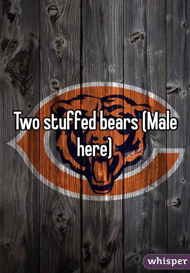 Two stuffed bears (Male here)