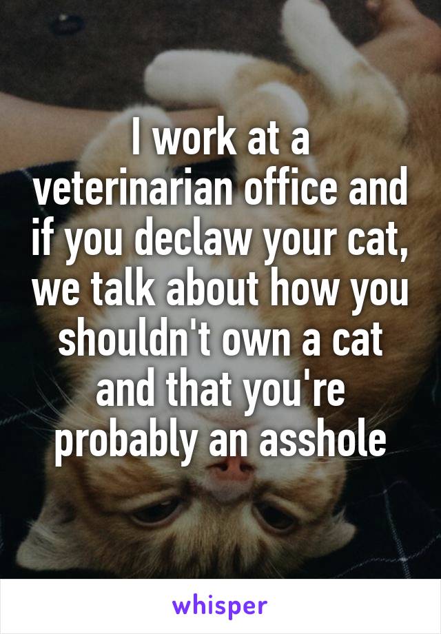 I work at a veterinarian office and if you declaw your cat, we talk about how you shouldn't own a cat and that you're probably an asshole
