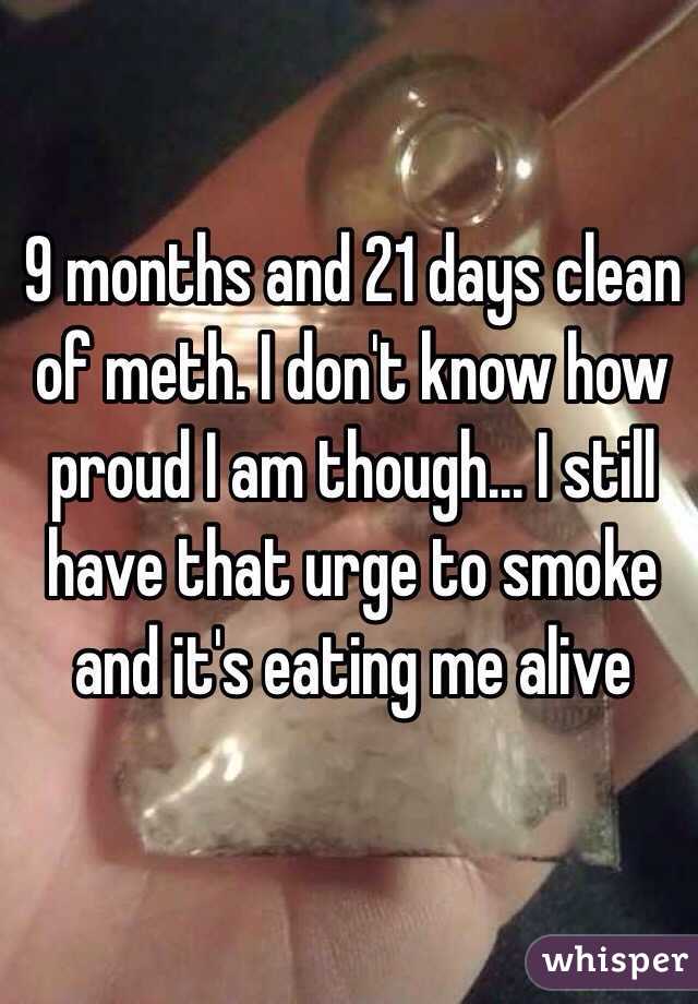 9 months and 21 days clean of meth. I don't know how proud I am though... I still have that urge to smoke and it's eating me alive 