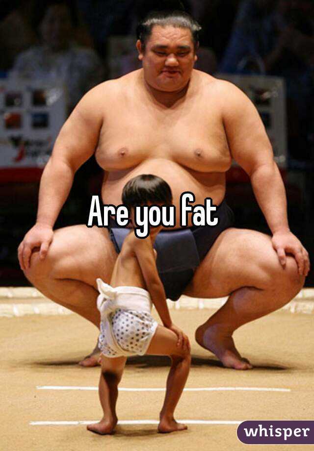 Are you fat 