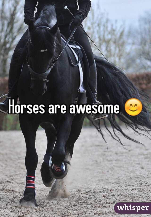 Horses are awesome 😊
