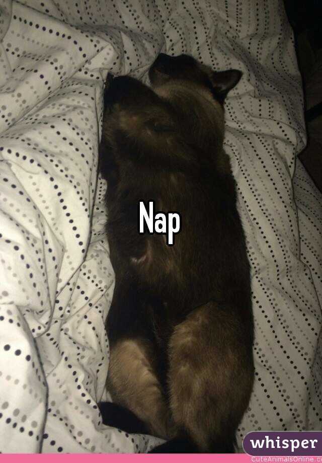 Nap