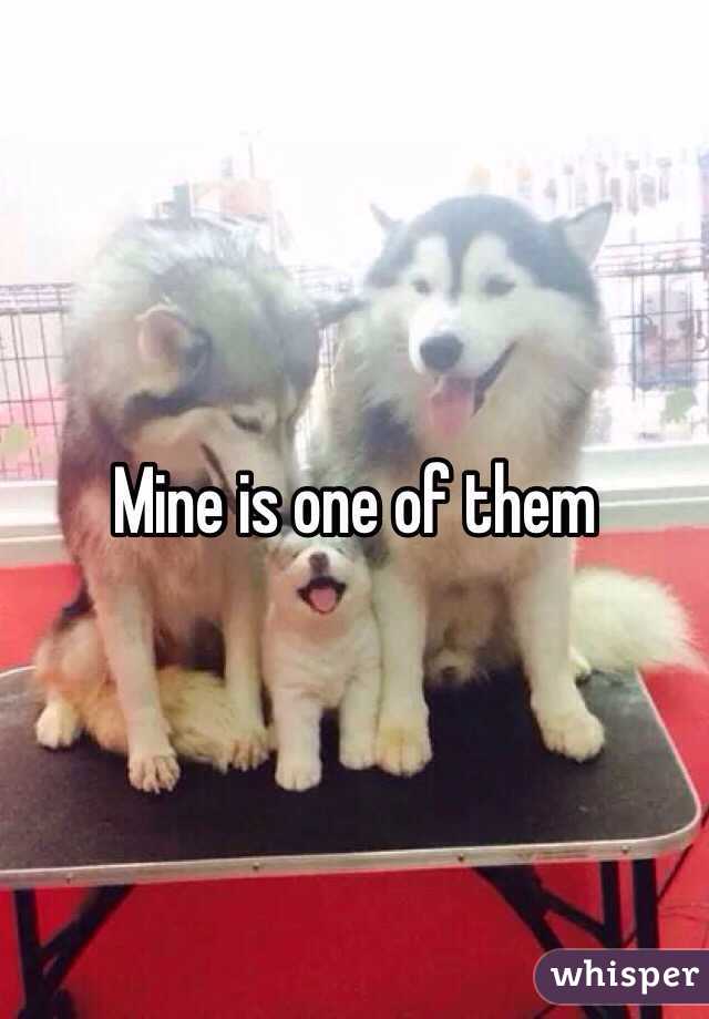 Mine is one of them 