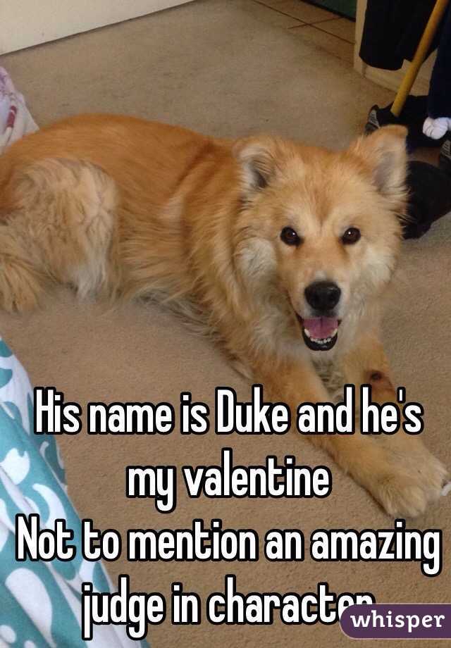 His name is Duke and he's my valentine 
Not to mention an amazing judge in character 