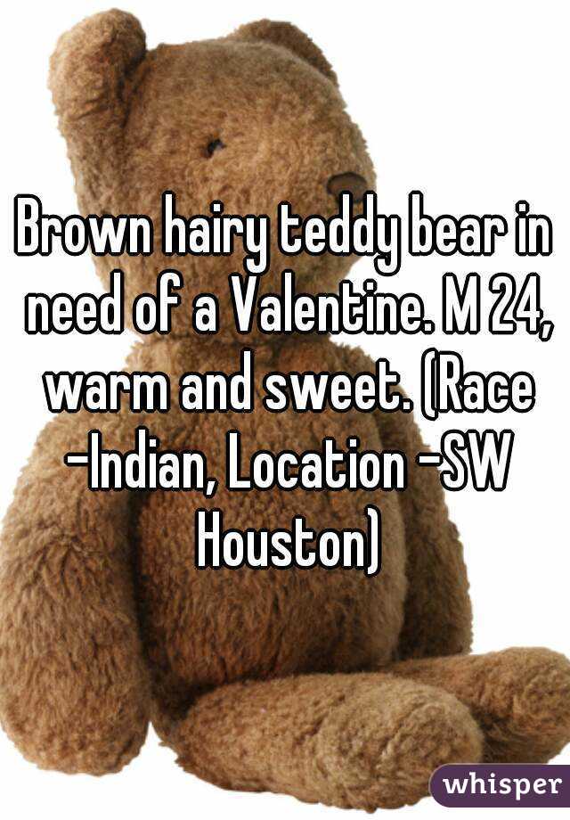Brown hairy teddy bear in need of a Valentine. M 24, warm and sweet. (Race -	Indian, Location -	SW Houston)